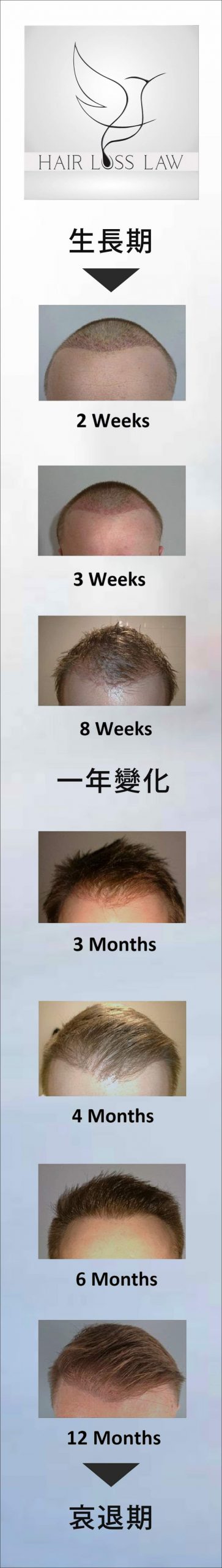 hair-growth-cycle-week-s hair-growth-cycle-week-s